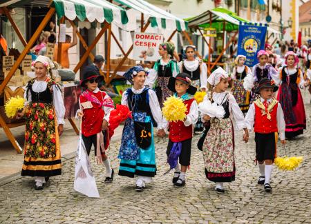 Povorka ob dnevih narodnih noš in oblačilne dedščine (74)